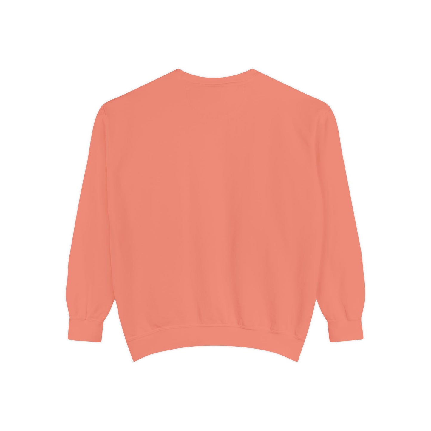 Einstein's Equation e=mc2 — Unisex Garment-Dyed Sweatshirt (US)
