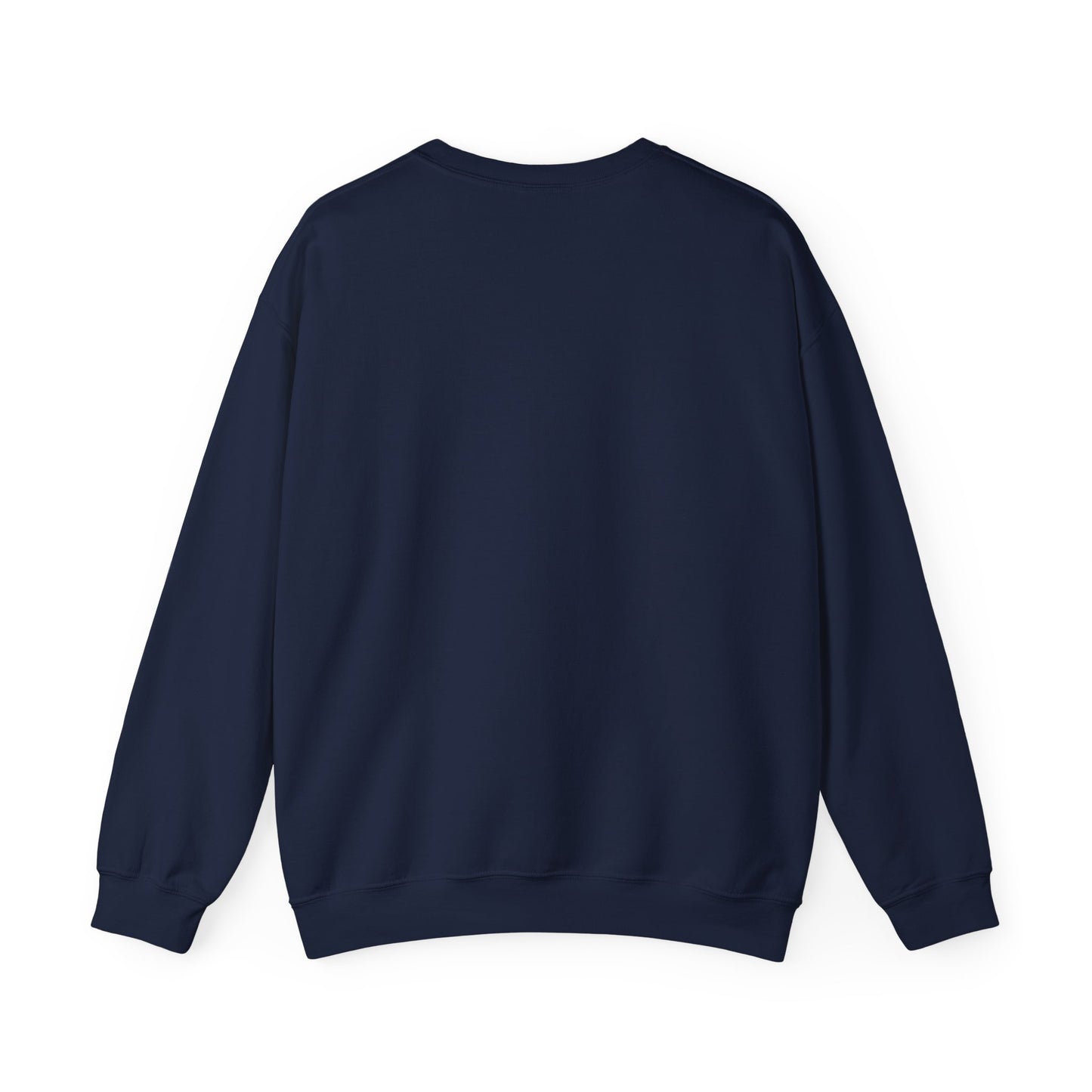 navy-back2